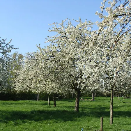 Aan Het Singelhof - Bellefleur*** Met Sunshower En Tuin *